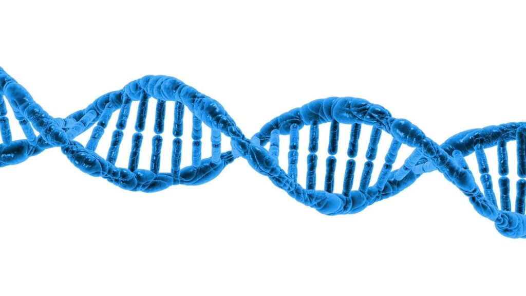 Ein Biotech-Labor mit Sequenziergeräten symbolisiert die wachsende Altersforschung als Milliardenmarkt – Foto: PublicDomainPictures / Pixabay